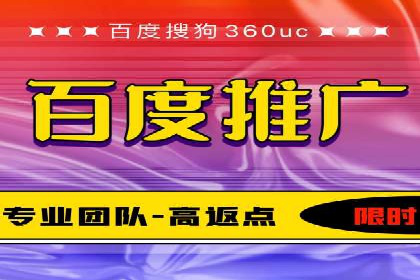 百度竞价广告运营全解析：成功案例揭秘