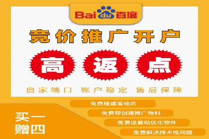 某SEM外包公司广告投放策略及效果评估